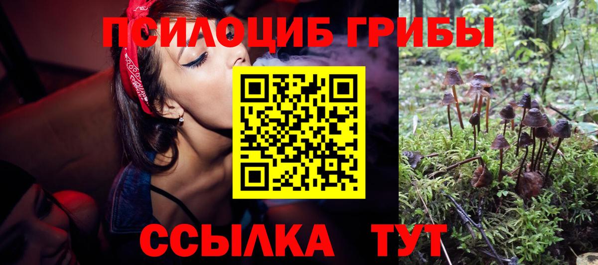 Тихвин  Псилоцибиновые грибы Cubensis  Галлюциногенные грибы Psilocybine cubensis  Вход с VPN 